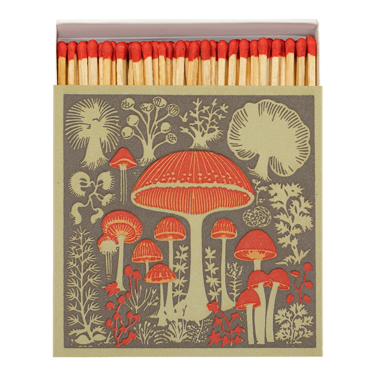 Archivist Gallery Square Matchbox - MUSHROOM