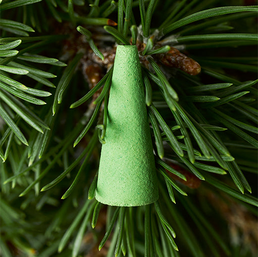 Ripple x HOUSEPLANT Ash & Scent Set- Seth Rogen